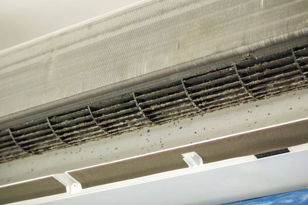 Best Affordable Duct Cleaning Services  in Four Corners, MT